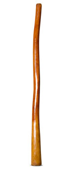 Gloss Finish Didgeridoo (TW1430)